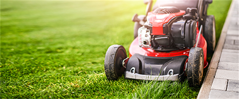 Lawn, Garden/Patio Image